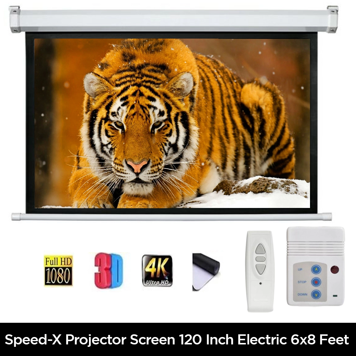 Electric Motorised Projector Screen