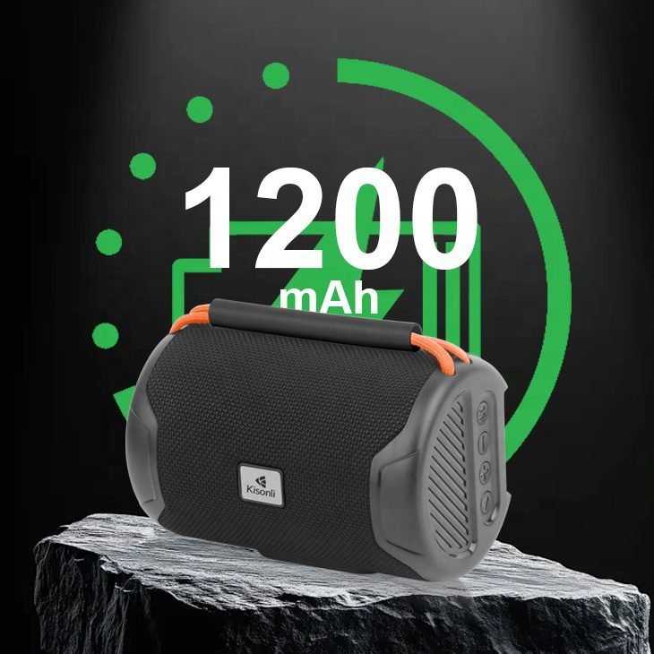 Q39 Speaker